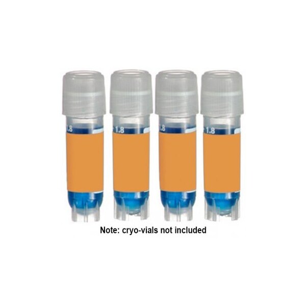 Direct Thermal Cryo-Tags, 1.50 x 0.75", Orange, 750/rl